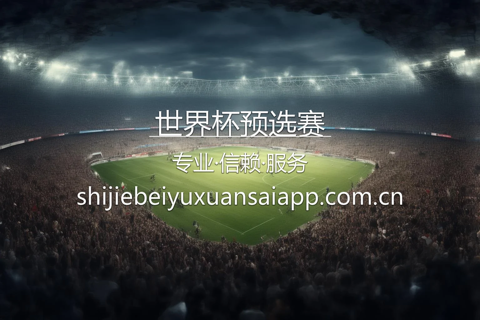 世界杯预选赛现场高清图